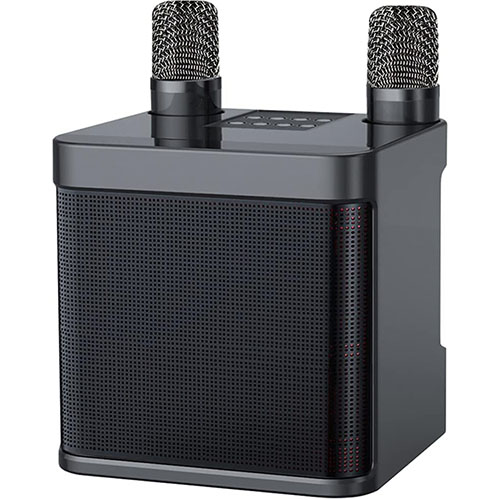 Karaoke Machine With 2 Wireless Microphones Portable Bluetooth