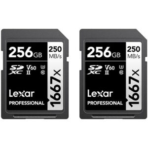 Lexar 256GB (2-Pack) Professional 1667x SDXC Memory Cards